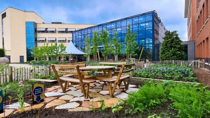 20210803-Image-Sustainability-GreenhouseVegetableGarden-High-1200x675-1 Der Planon Innovation Campus hat jetzt eine WELL v2-Zertifizierung erhalten. - Bild: Planon