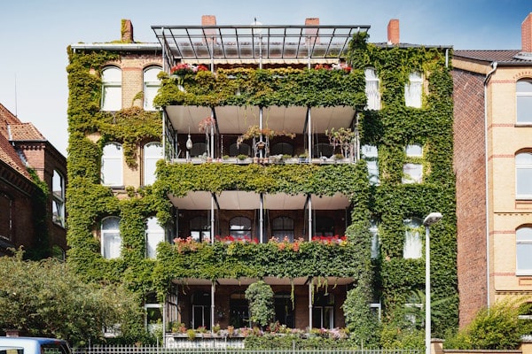 Ivy-covered apartment building with three balconies filled with plants and flowers on each level.